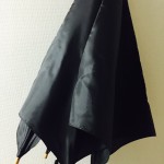 JR東日本で傘を落としたから、探してみたよ！